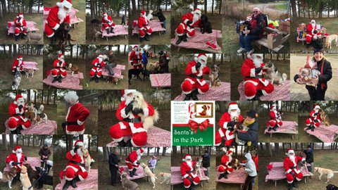 Santa's in the Park